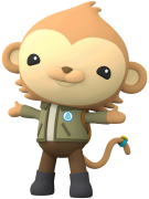 octonauts 8 lîste